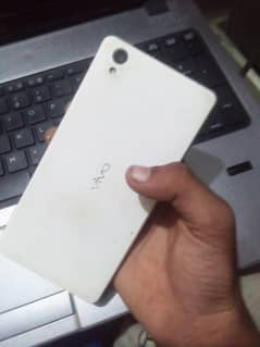 vivo