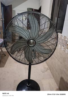 Orient Pedestal Fan- Powerful- Reliable and Excellent condition.