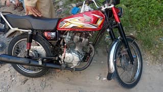 jamil