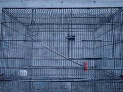 Birds cage