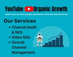 YouTube SEO Expert | Grow Your Channel Organically | YouTube Growth