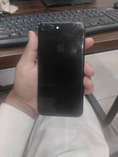 only serious customer contact me