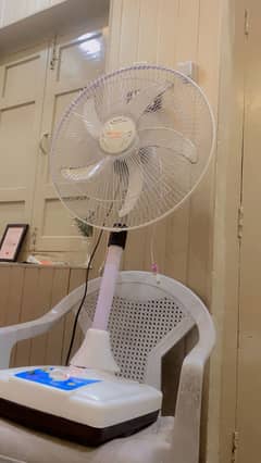 New fan