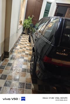 Suzuki custus