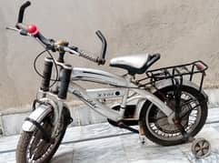Grey sporty  bicycle