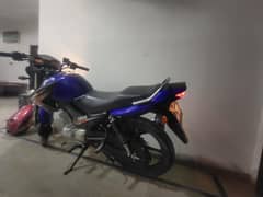 Ybr