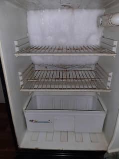 PEL fridge