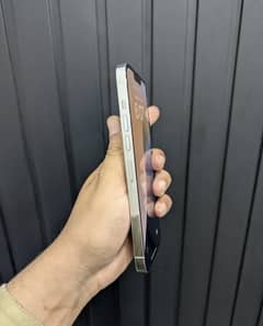 13pro