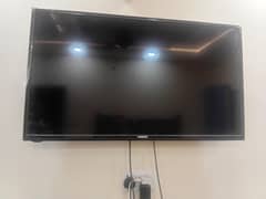 nikai led