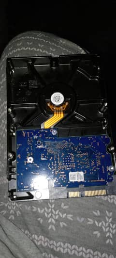 hard drive