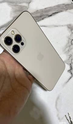 13pro