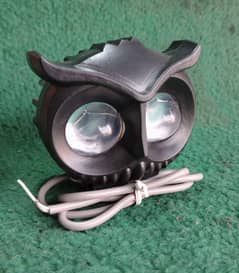 Owl