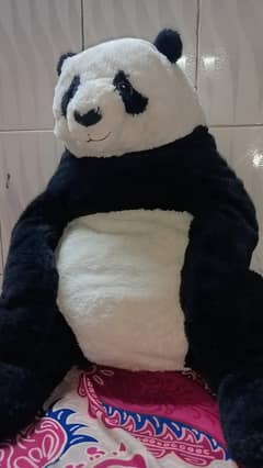 Urgent sale Beautiful Panda in low price