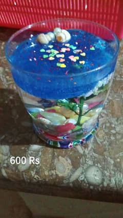 Aquarium