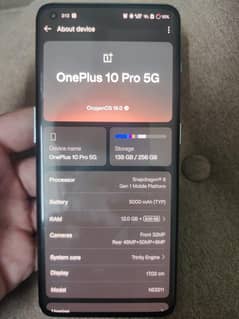 one plus 10 pro 12/256
