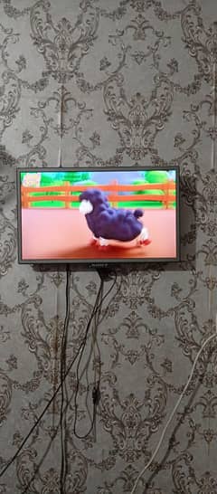 Sony