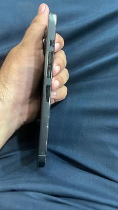 13 pro max