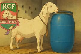 Goat