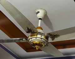 New Fan