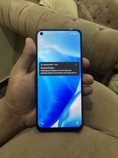 One plus n 200