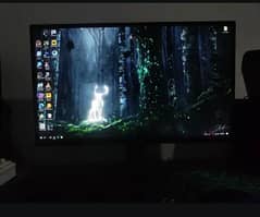 acer