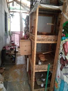 Cage available for sale urgent