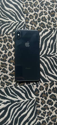 Xs Max 256 Gb