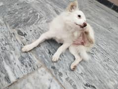 smart handsome cute