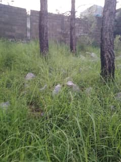 Plot for sale