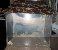 Aquarium For Sale .