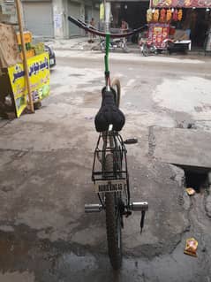 all jenuan phonix sycle