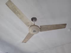 Ceiling Fan 220v AC