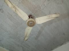 ceiling fan 03237319447