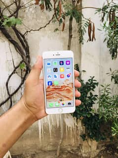 iphone 6s plus 64 gb