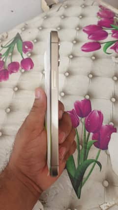 iPhone 12 Pro Max physical dual Sim PTA approved