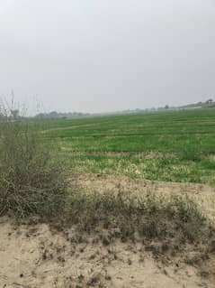 200 Kanal Agricultural Land Available For Sale In Multan Bypass If You Hurry