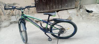 Imported Caspian Bicycle