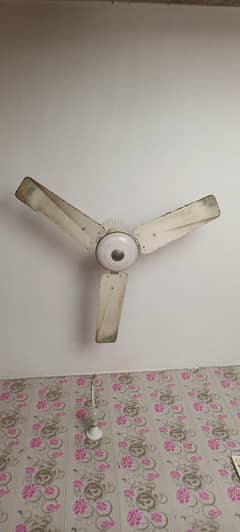 Fans for sale pakfan, sufi fan, china fan 100% coper orignal winding