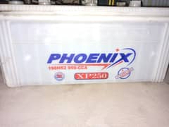 Phoenix xp 250