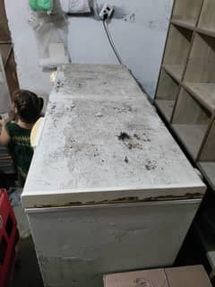 2 door freezer all ok paint color is 10/8.
