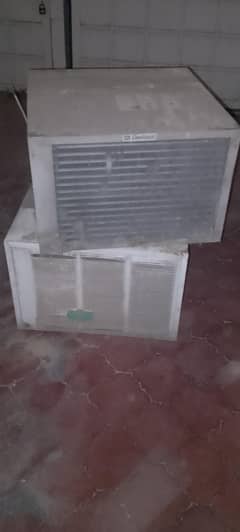 window