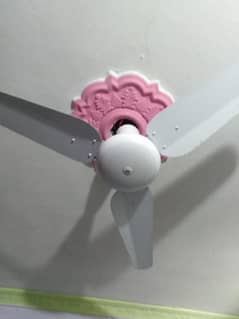 all cealing fans pedestal and wall fan for sale. 0.3. 2.1. 5.2. 3.8. 4.8. 5