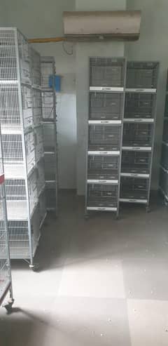 Lovebirds Cages
