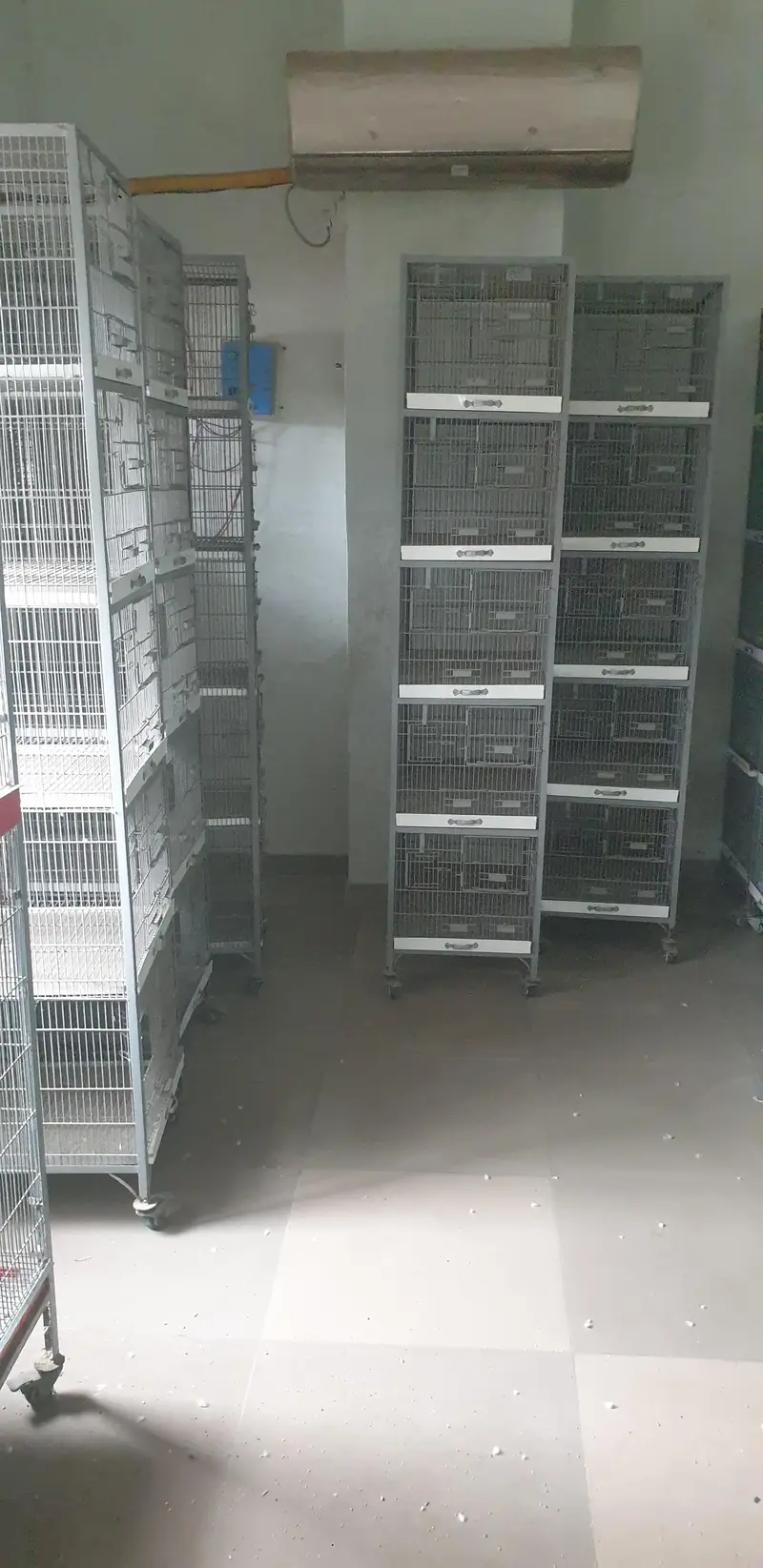 Cage for birds