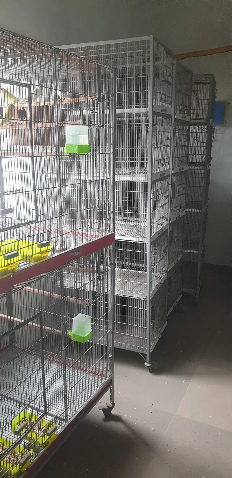 Cage for birds — photo 2