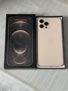 iphone 12 pro max pta approve