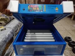 automatic incubator imported