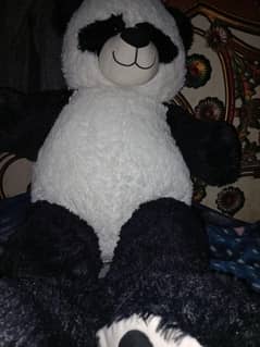 Panda bear huge