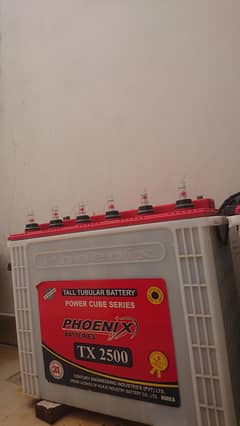 Phoenix Tall Tubular Batteries