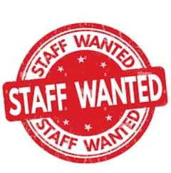 need a staff  in Islamabad
